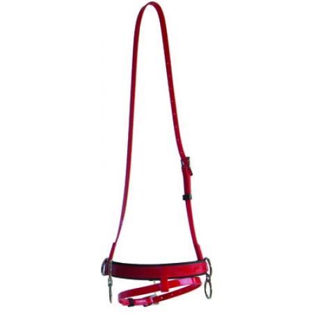 Cavesson Race Halter w/Flash Nose Band_1